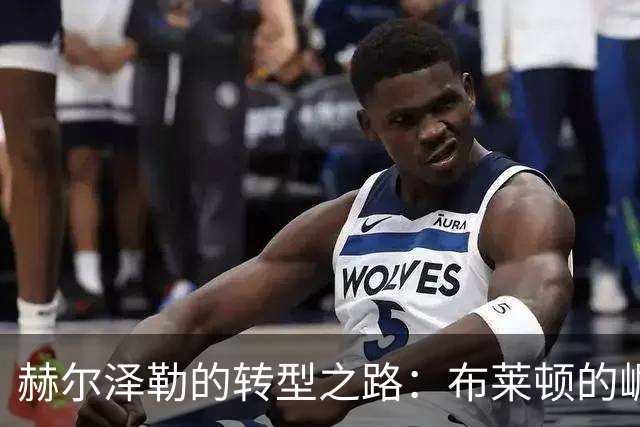 赫尔泽勒的转型之路：布莱顿的崛起与救赎
